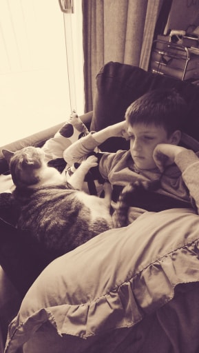 78840856_511714889413911_3509071740636495872_n