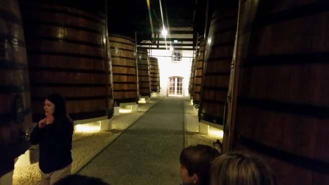 81395983_448199986061333_7230482085952094208_n