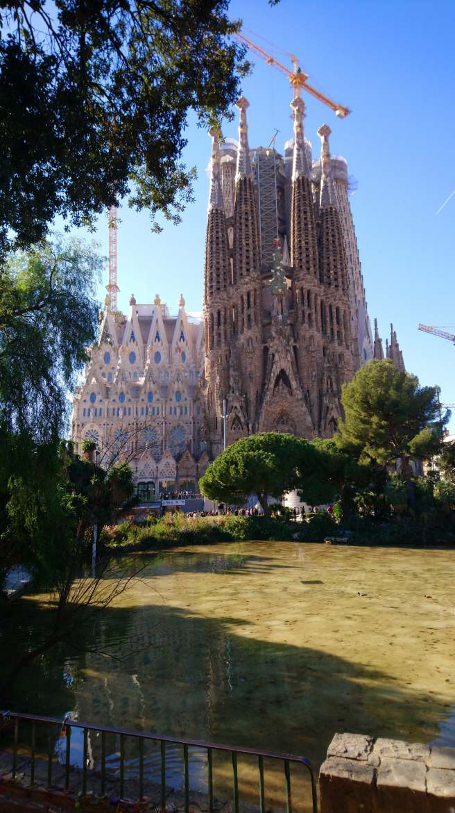 82920037_1079585362394818_4139380795737374720_n